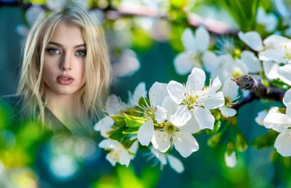 Sakura Photo Frames скриншот 4