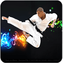 Learn Karate иконка