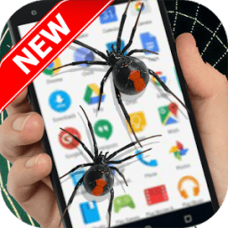 Spider On Screen - Funny Prank أيقونة