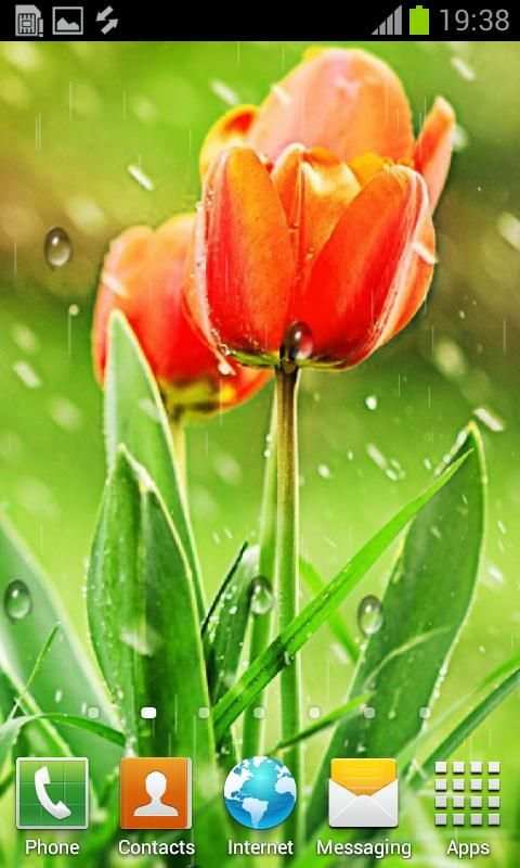 My Photo Rain live wallpaper स्क्रीनशॉट 3