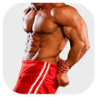 Exercices de Musculation - Gym on 9Apps
