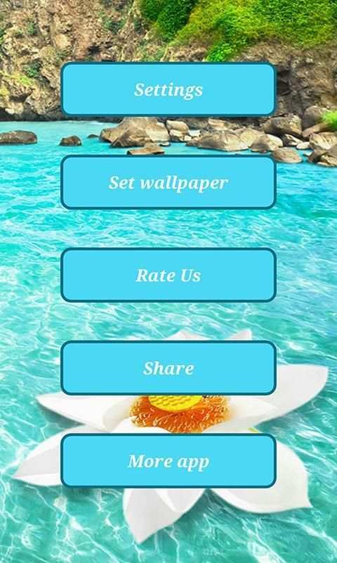 Automatic Wallpaper Changer स्क्रीनशॉट 2