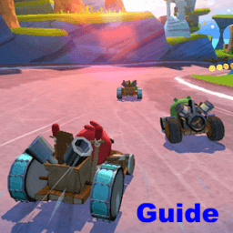 ikon Guide for Angry Birds Go