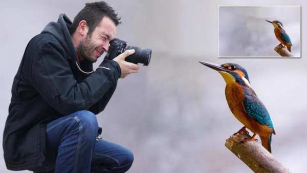 Auto Photo Background Changer 8 تصوير الشاشة