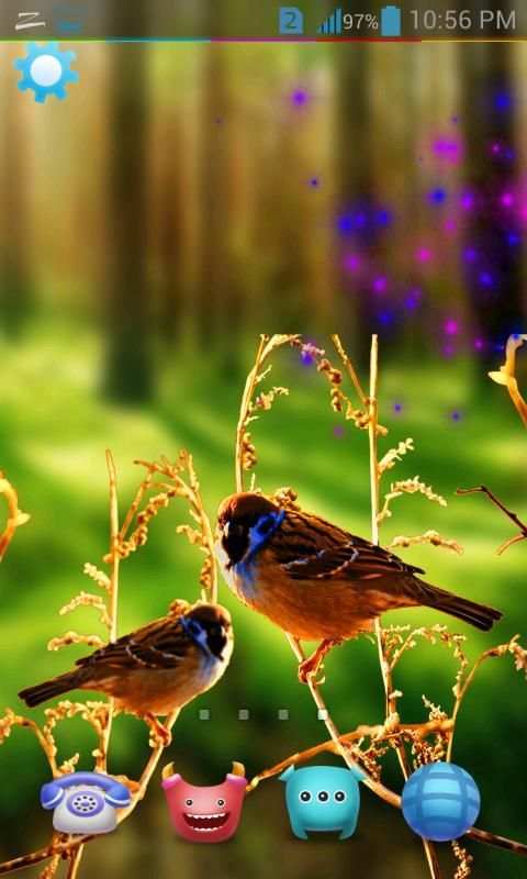 Birds Live Wallpaper 3D स्क्रीनशॉट 4