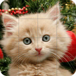 Tile Puzzle Cats आइकन