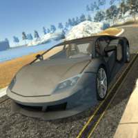 Race Car Driving Simulator