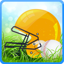 T20 Cricket Championship 2017 иконка