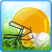 T20 Cricket Championship 2017