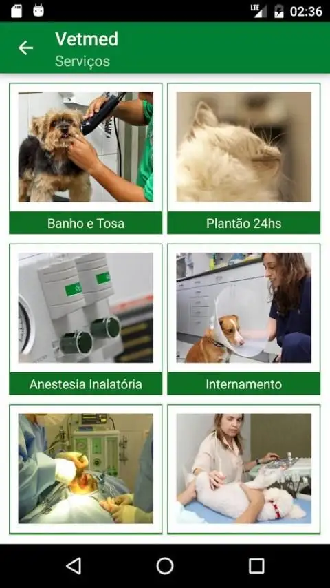 Vetmed screenshot 1