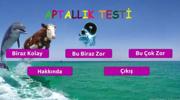 Aptallık Testi screenshot 4