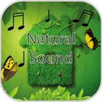 Natural Sound MP3 2017 on 9Apps
