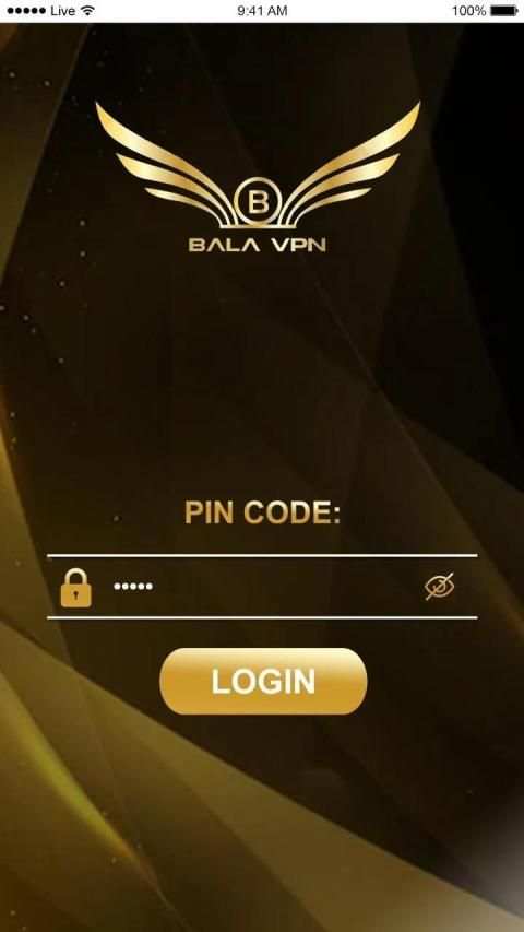 Bala VPN screenshot 2