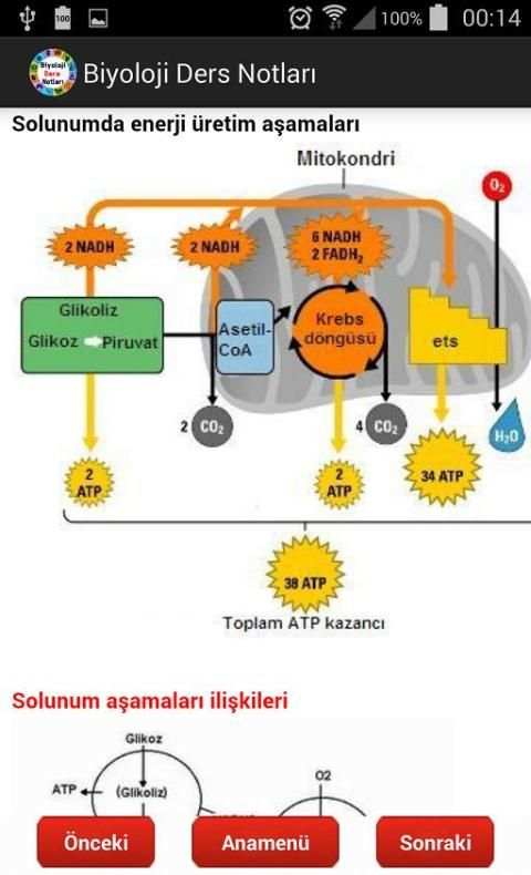 Biyoloji Ders Notları screenshot 7