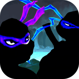 Ninja Shadow turtle 2 icon
