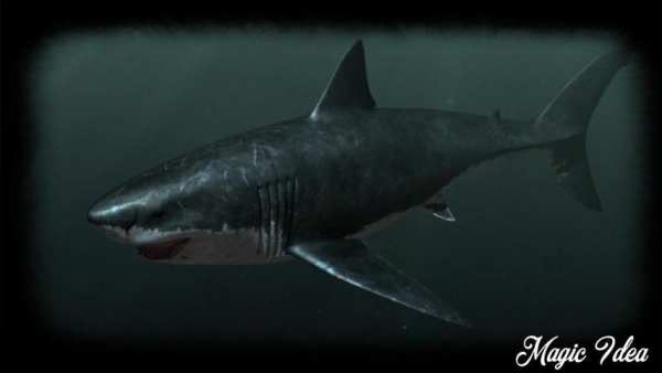 Megalodon Wallpaper screenshot 2