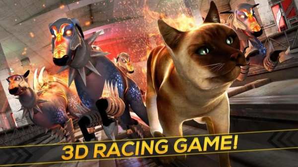 Oh My Cat! - Subway Race screenshot 3