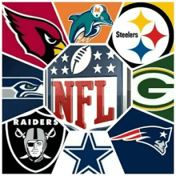 Guess NFL Team أيقونة