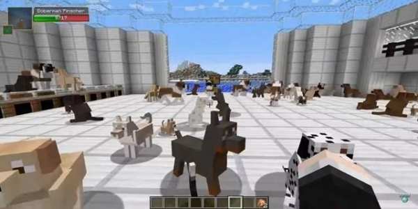 Dog Mod for Minecraft PE screenshot 2