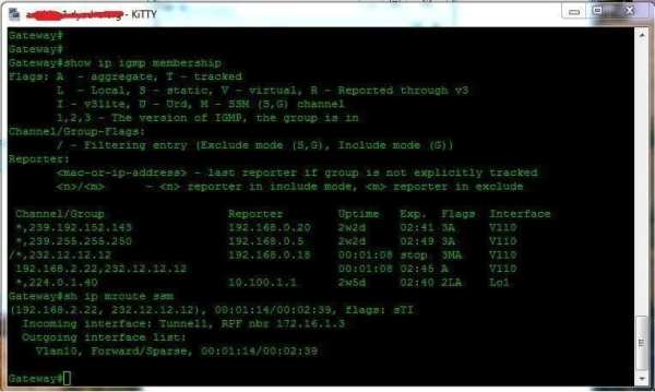 Simple Multicast स्क्रीनशॉट 9