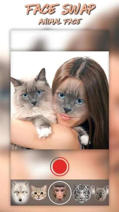 Face Swap - Photo Collage 7 تصوير الشاشة