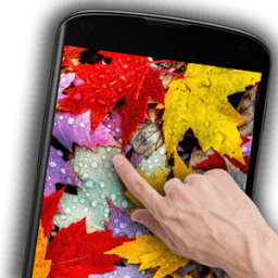 Autumn leaves Live Wallpaper icon