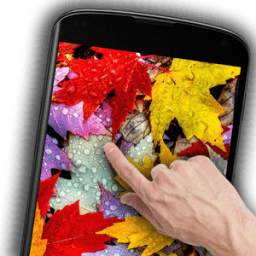 Autumn Leaves Live Wallpaper 3.1