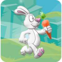 Super Bunny RUN 1