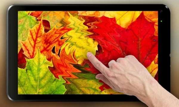 Autumn leaves Live Wallpaper screenshot 1