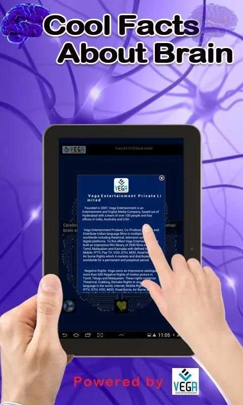 Cool Facts about Brain screenshot 1