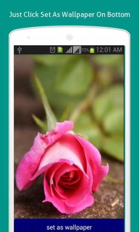 Flower Wallpapers HD скриншот 3