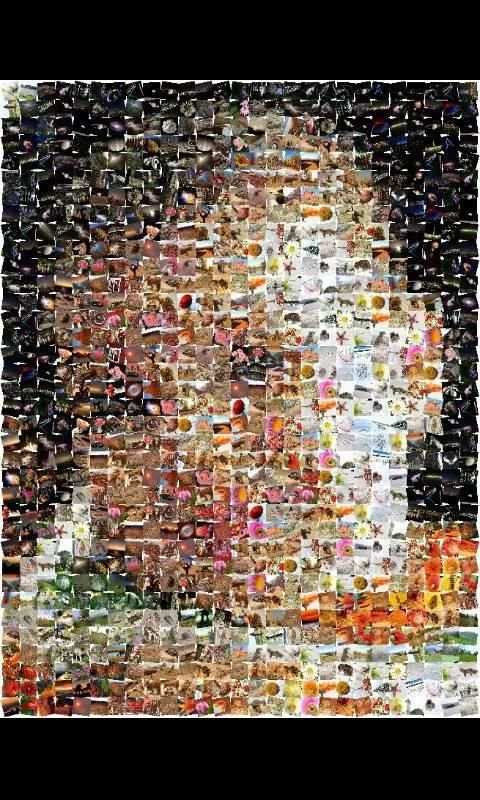 ZaBa Photo Mosaic Lite скриншот 6