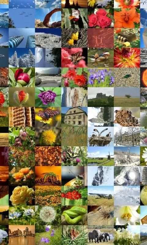 ZaBa Photo Mosaic Lite скриншот 5