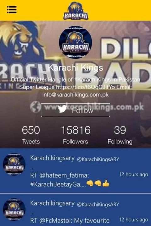 KARACHI KINGS скриншот 2