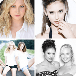 Pic Stich आइकन