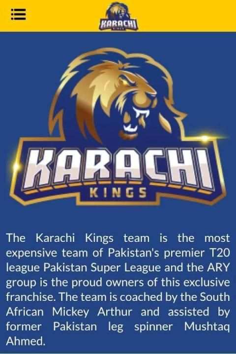 KARACHI KINGS скриншот 7