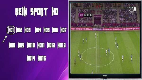 guide for beIN sport channel 1 تصوير الشاشة