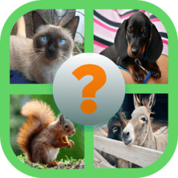 Adivina Animales أيقونة