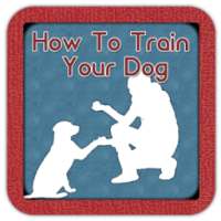 How To Train Your Dog Guide