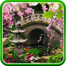 Sakura Live Wallpaper आइकन