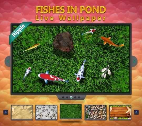 Fishes In Pond Live Wallpaper скриншот 1