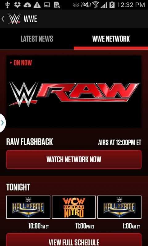 WWE screenshot 5