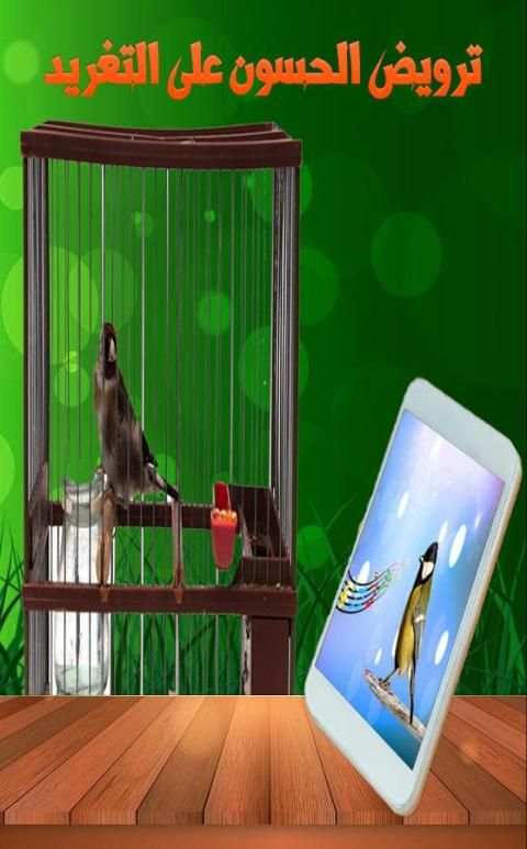 صوت طيور الحسون screenshot 4