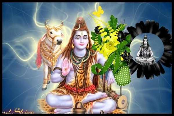 Shiva Photo Frame 2 تصوير الشاشة