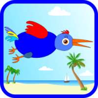 Funny Bird. At the beach