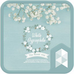 Mint gypsophila Launcher theme иконка