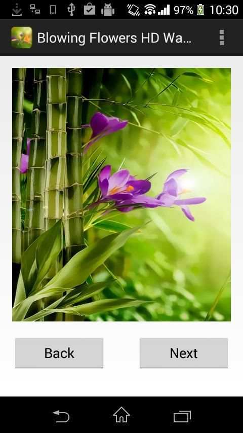 Flower Wallpaper for whatsapp скриншот 5