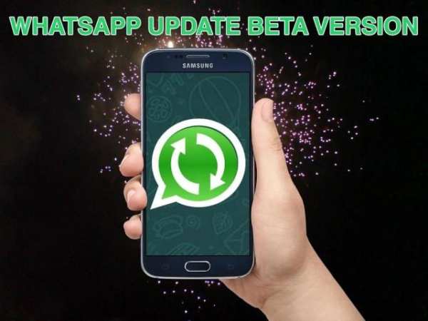 update WhatsApp beta version screenshot 7