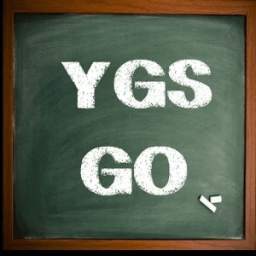 YGS GO 1.0