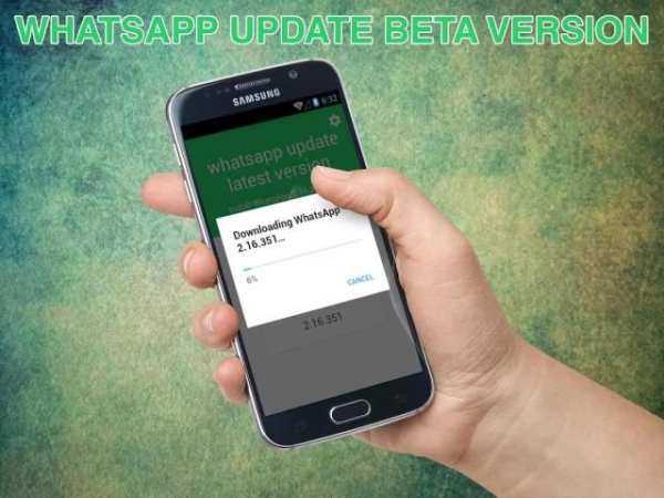 update WhatsApp beta version screenshot 3